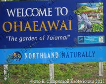 Место обитания монстра в Новой Зеландии